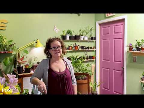 The Taproot Collective