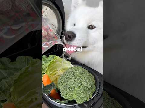鶏レバーごはんつくってる間に甘えん坊が爆発しました！