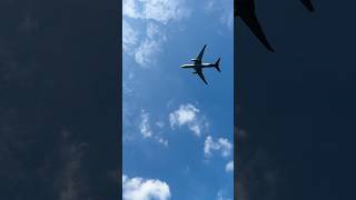 FX5393 b77L from CGN to MEM #airport #planespotting #fedex #Köln #memphis #takeoff #b777