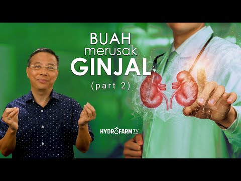 Buah Merusak GINJAL !! (Part 2)