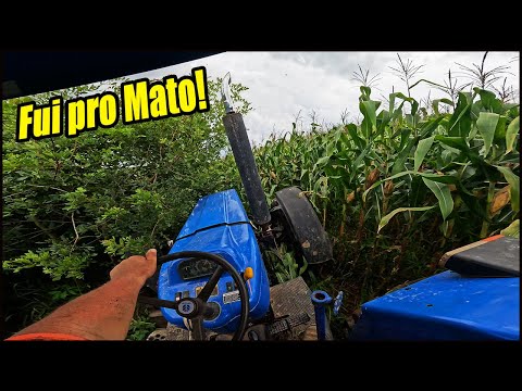 ARRISQUEI NO MOLHADO MESMO ENTRAR NA PARTE MAIS PERIGOSA DA LAVOURA COM NEW HOLLAND 7630!