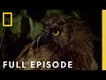 Adaptations and Behaviors of Unique Animals