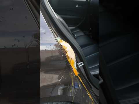 🚗Cool item to protect your car door.#shorts