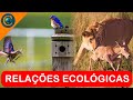 Ecological Relationships and Interactions