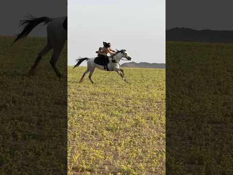 قمرا وجود 🥺🤍 #اكسبلور #جود #الخيل #حصان #خياله #horse