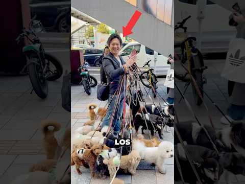 Corea Es El Mejor País Para Los Amantes De Los Perros 🐶🥰