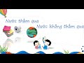 Tính Thẩm Thấu của Nước