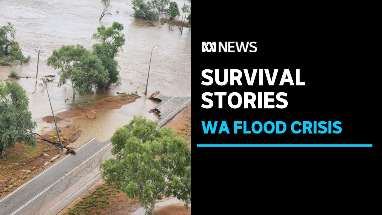 Incredible Stories of Wildlife Rescue and Survival from WA Flooding Disaster Zone