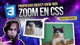 ¡Zoom en CSS! La propiedad object-view-box