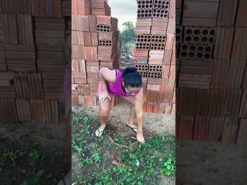 Cobra pega cachorro #humor #funil #animatin #comedia #comedy #memes #cachorro ￼