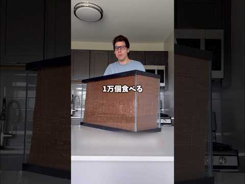 チョコ1万個食べた結果😨