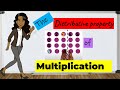 Exploring the Distributive Property of Multiplication