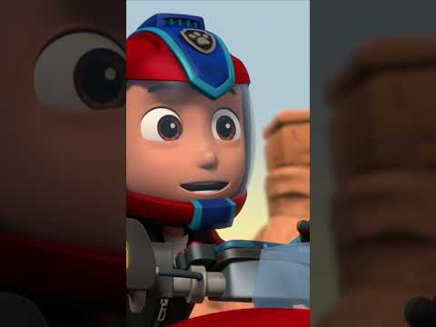 A-CHOO! 🤧 #PawPatrol #Shorts