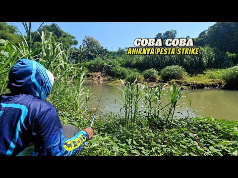 Seru NGEBOLANG mencari spot yang masih banyak ikan nya untuk dimasak di pinggir sungai pegunungan