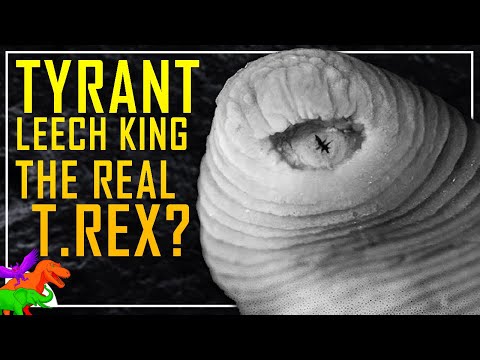 Is This the Real T.rex? | TERRIFYING Tyrant Leech King