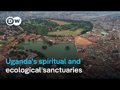YouTube video thumbnail: Uganda’s Sacred Sites Safeguard Both Cultural Heritage and Natural Ecosystems.