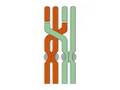 Understanding Crossing Over in Meiosis