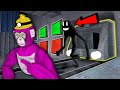 Big Scary Level 16 Quiz