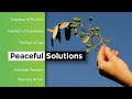 Understanding Interventionism