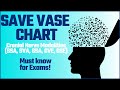 Cranial Nerves and Nervous System Functions