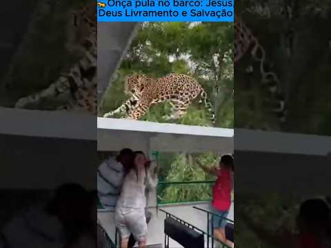 🐆Onça pula no barco! Deus trouxe salvação e livramento. Shorts🙏 Jesus protegeu. #deus #jesus #onça