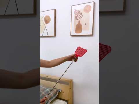 amazing way sister house