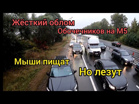 Жёсткий облом Обочечников на М5.Мыши пищат, но лезут