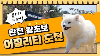 [강아지 VLOG] 어질리티 처음 도전하다!