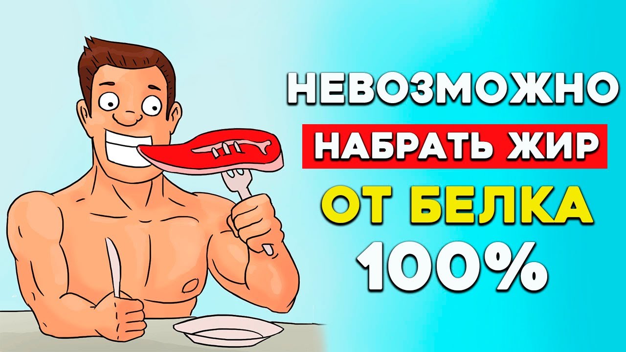 Можно ли стать Жирным от Белка?