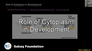 Role of Cytoplasm in Development