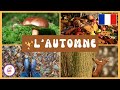 Automne: Questions et Réponses