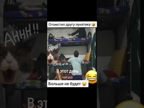 🤣🤣🤣