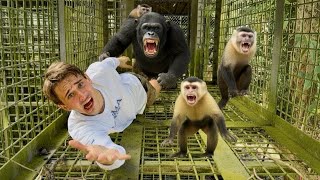 I Built an INSANE Tunnel System for My MONKEYS!