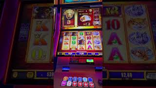 Wonder 4 Spinning Fortunes bonus on Buffalo Gold at Hollywood Casino