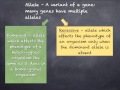 Genetics Concepts and Terminology
