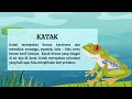 Kuis Metamorfosis Katak