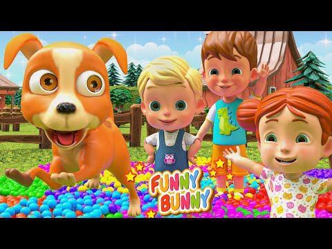 Bingo Dog Song + More Nursery Rhymes & Kids Songs - Funny Bunny Compilation