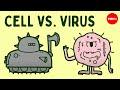 The Cellular Defense Against Viruses