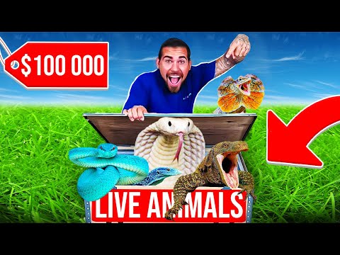 $100,000 Reptile UNBOXING! (Indonesia Import)