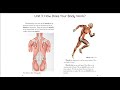 Muscle Function and Control