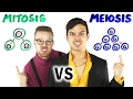 Mitosis vs Meiosis: A Rap Battle Breakdown