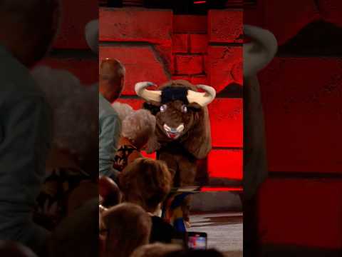 ⚠️ WARNING: Bull on the loose! 💃💥🐂💨 From the new DVD Power of Love - available at andrerieu.com