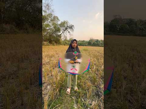 Bocil Dapat Layangan Papiran Zulfa Lanang #layangan #papiran #menemukan #bocil #layanganputus