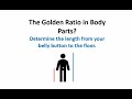 Golden Ratio in Human Anatomy