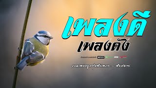 เพลงดีเพลงดัง ฟังเพลิน //  รวมเพลงลูกทุ่งเพราะต่อเนือง