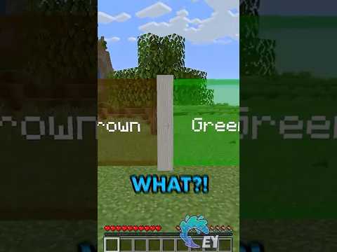 Minecraft, But I Can Only Pick One Color!