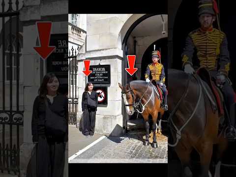 King horse's reaction #respect #aura  #shorts