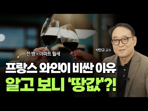 프랑스 와인은 왜 특별한가?ㅣ역사·등급·프랑스의 비밀까지 총정리