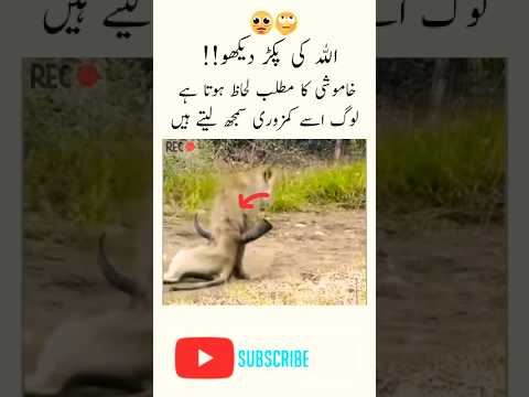 best islamic short video today #trending #viralvideo #foryou #youtubeshorts #allah #today #shorts