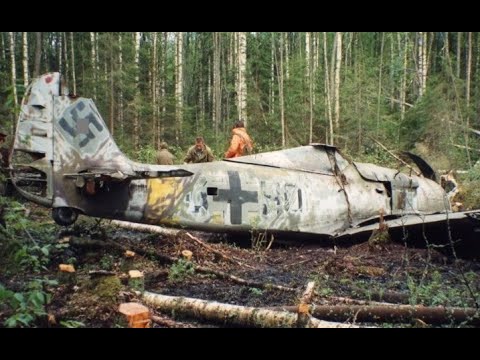 Wulf in the Woods - The Most Incredible WW2 Relic Ever!